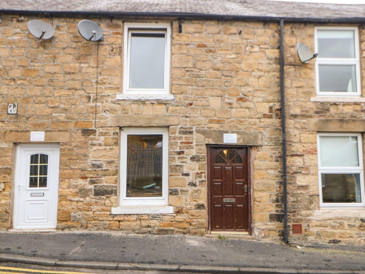 Hunter Haltwhistle